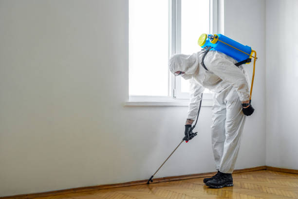 Best Termite Inspection and Treatment  in Miami, FL